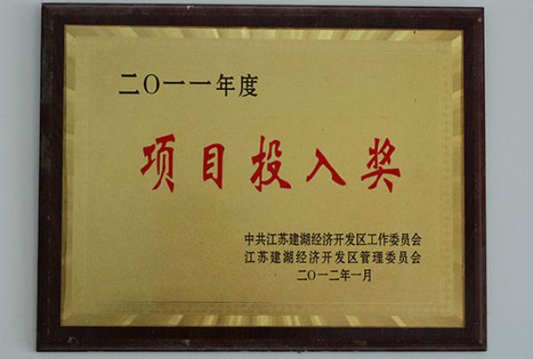 2011年项目投入奖