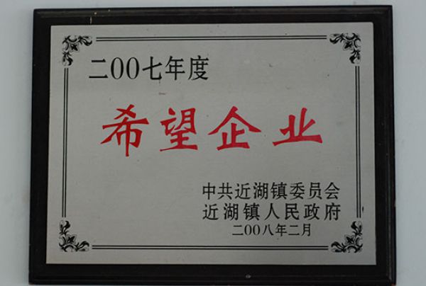  2007年希望企业